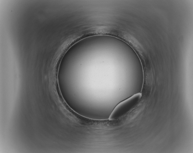 X0000113070673200908281155
