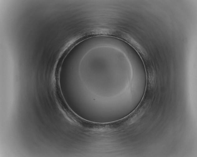 X0000113070674200908281155