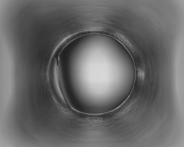 X0000113070676200908281155