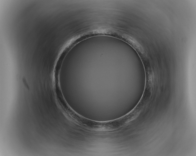 X0000113070678200908281155