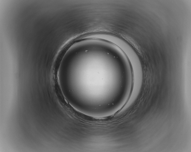X0000113070680200908281155