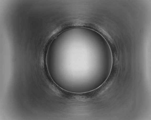 X0000113070681200908281155