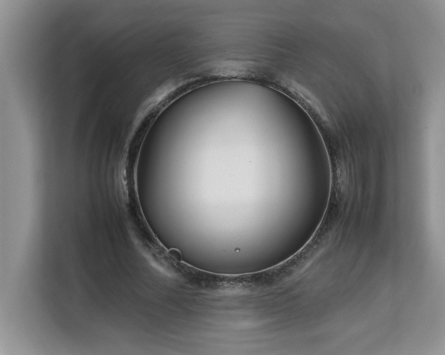 X0000113070682200908281155