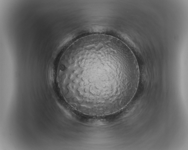 X0000113070683200908281155