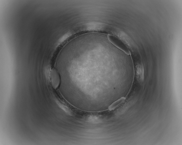 X0000113070684200908281155