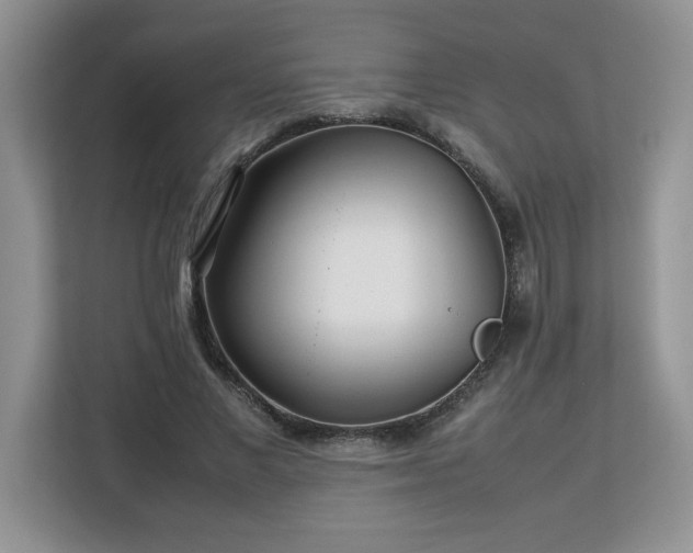 X0000113070685200908281155
