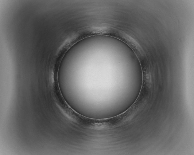 X0000113070686200908281155