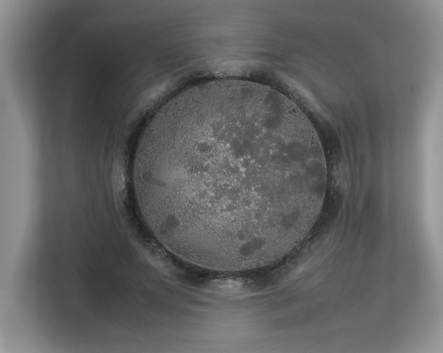 X0000113070687200908281154