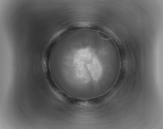 X0000113070688200908281154