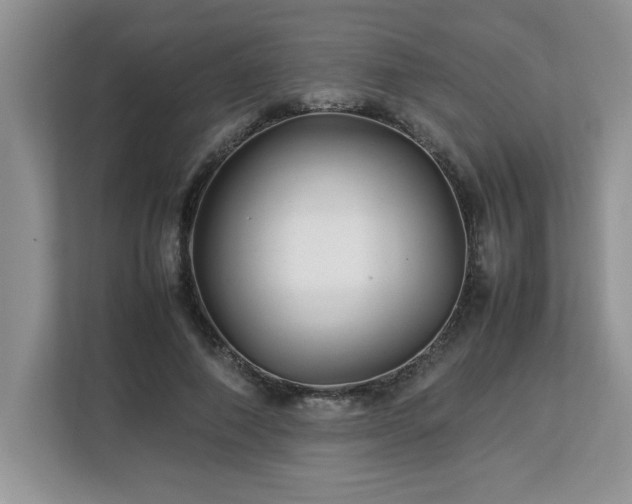 X0000113070690200908281154