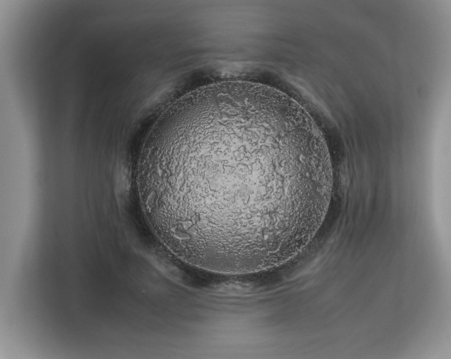 X0000113070691200908281154