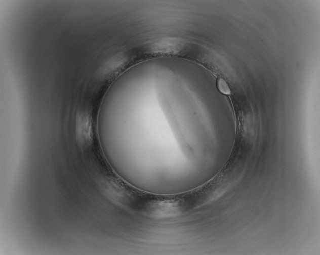 X0000113070692200908281154