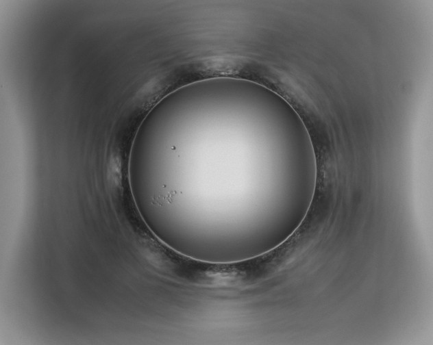 X0000113070693200908281154