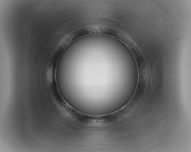 X0000113070694200908281154