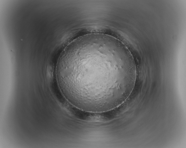 X0000113070695200908281154