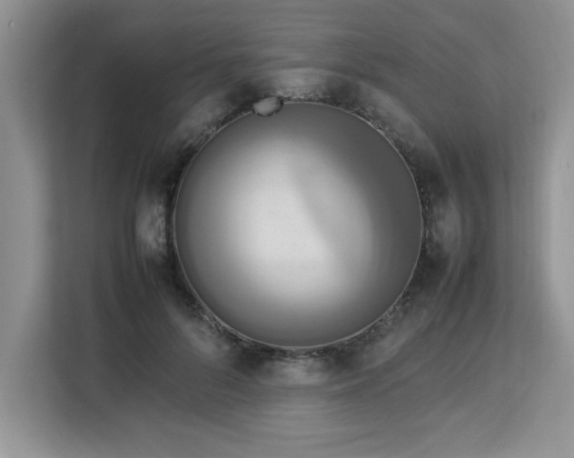 X0000113070696200908281154
