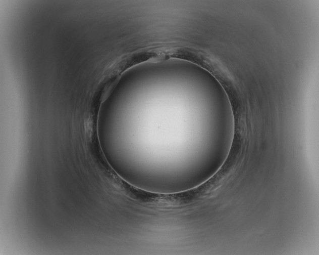 X0000113070697200908281154