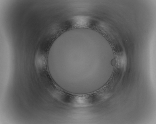 X0000113070701200908281154