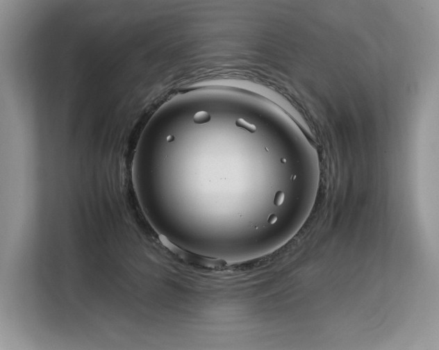 X0000113070704200908281154