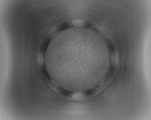 X0000113070705200908281154