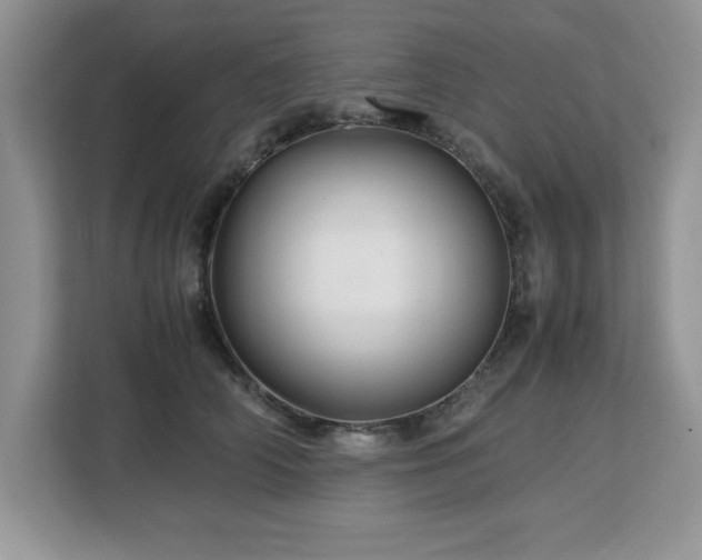 X0000113070706200908281154