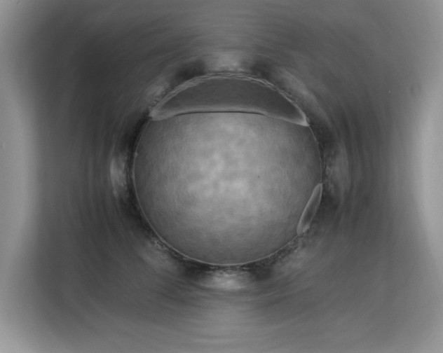 X0000113070708200908281154