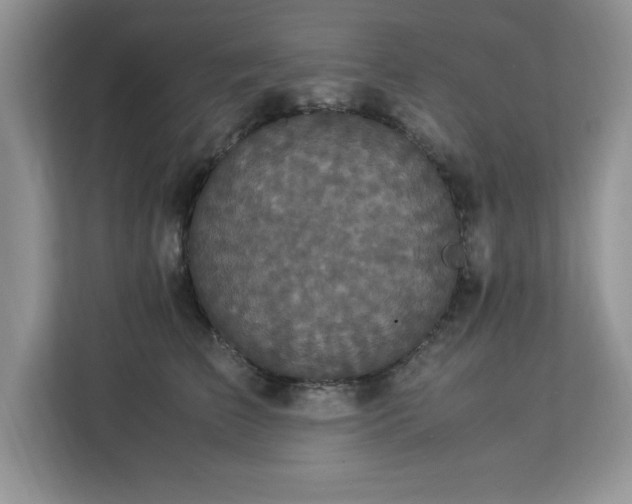 X0000113070709200908281154