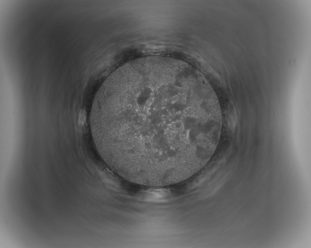 X0000113070711200908281154
