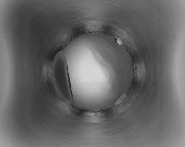 X0000113070712200908281154