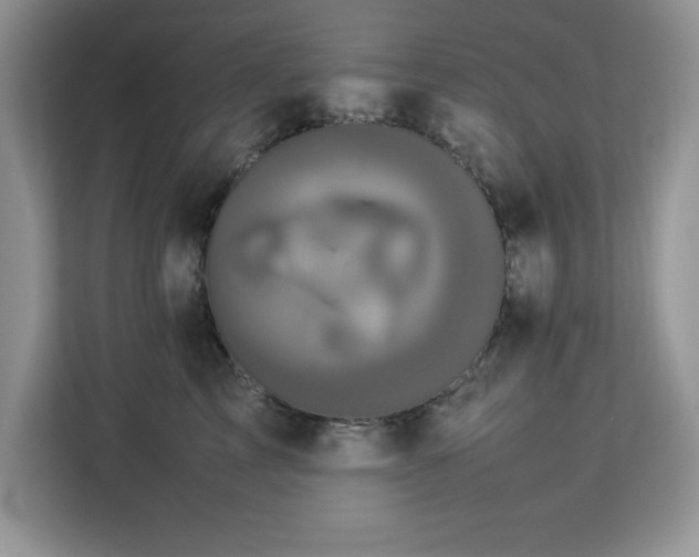 X0000113070713200908281154