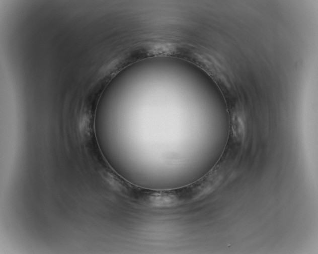 X0000113070714200908281154