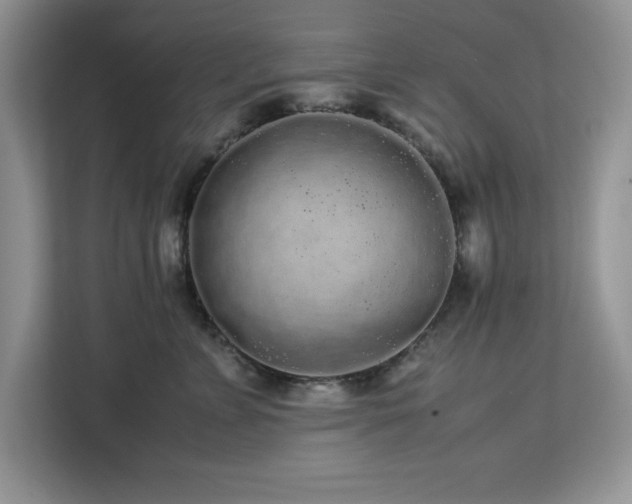 X0000113070715200908281154
