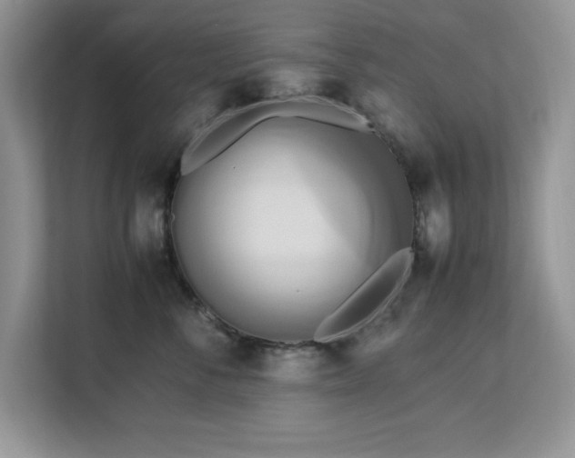 X0000113070716200908281154