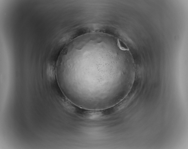 X0000113070719200908281154