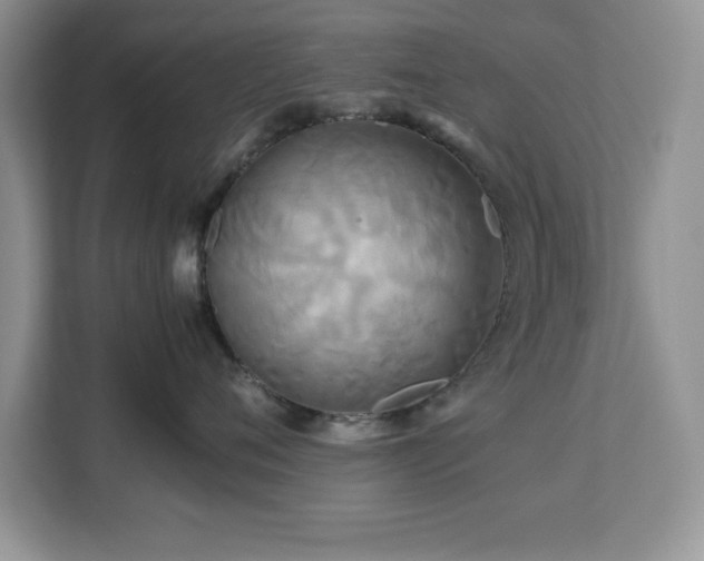X0000113070720200908281154