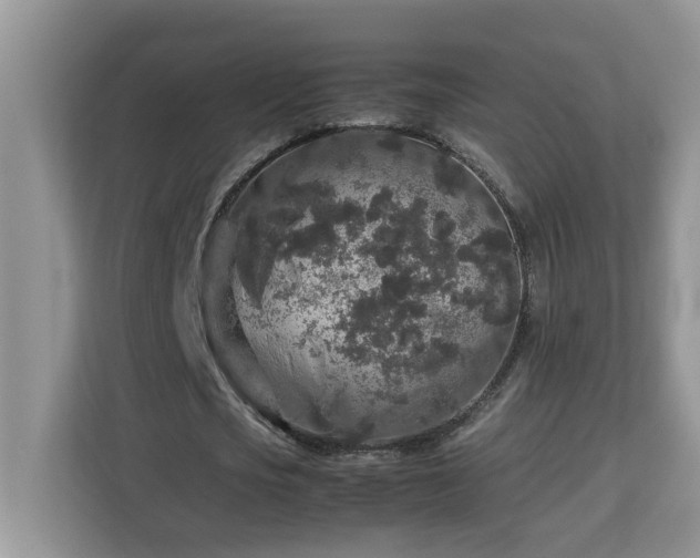 X0000113070721200908281153