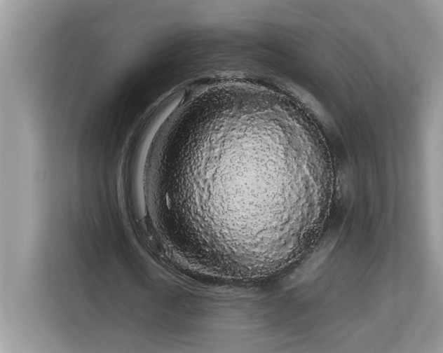 X0000113070722200908281153
