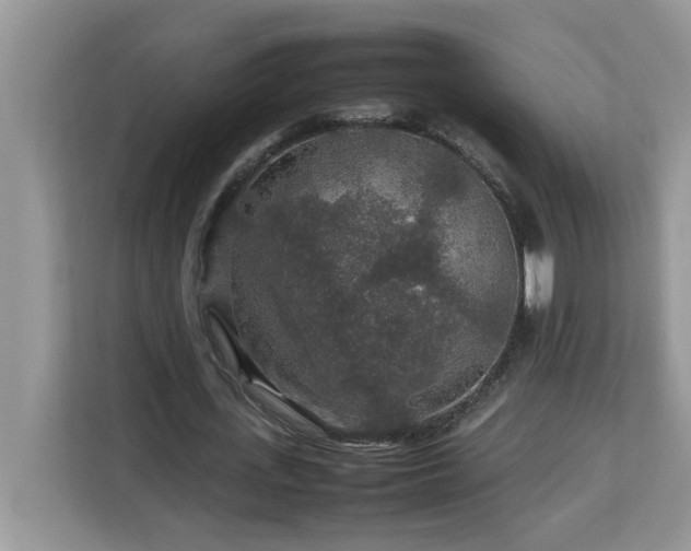 X0000113070723200908281153