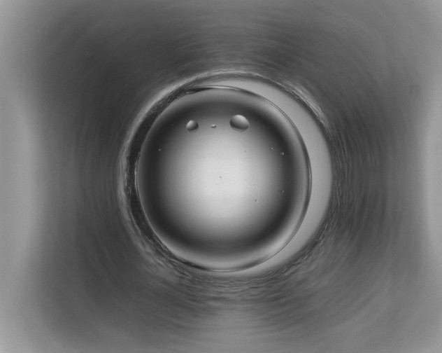 X0000113070724200908281153