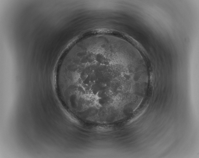 X0000113070725200908281153