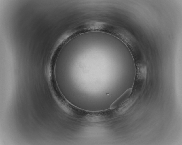 X0000113070726200908281154