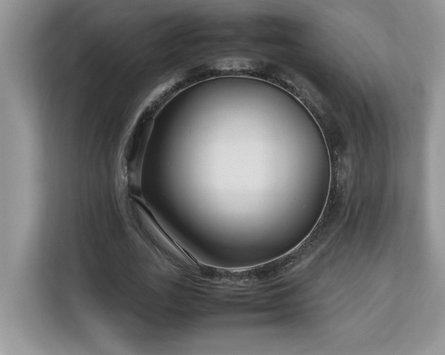 X0000113070727200908281154