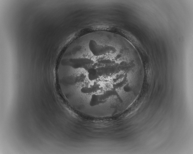 X0000113070729200908281154