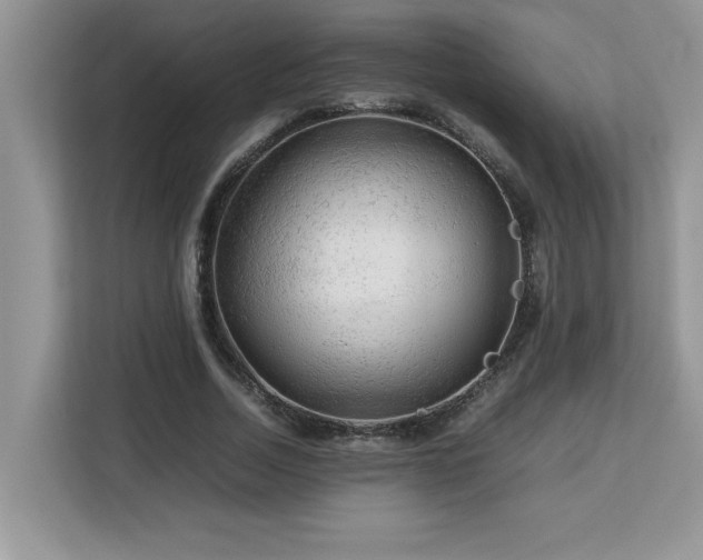 X0000113070730200908281154