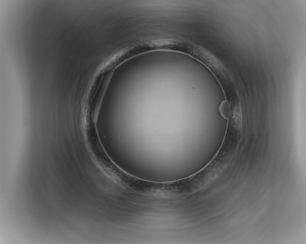 X0000113070732200908281154
