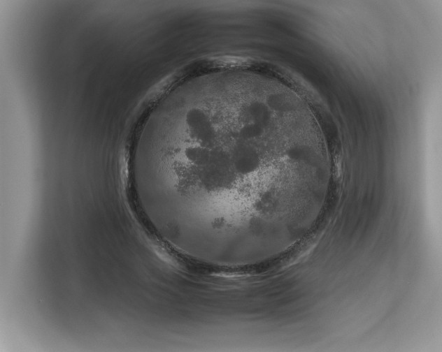 X0000113070733200908281154