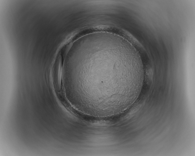 X0000113070734200908281154