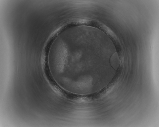 X0000113070736200908281154