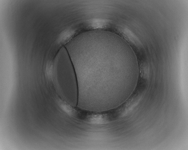 X0000113070740200908281154