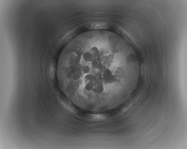 X0000113070741200908281154